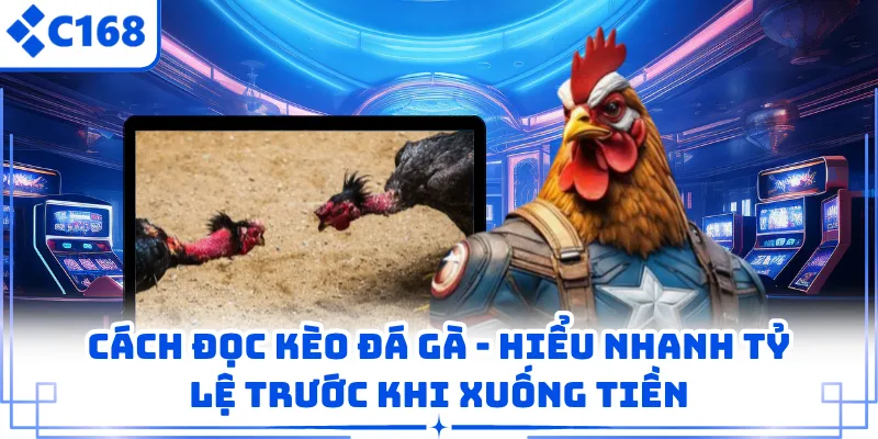 Cách Đọc Kèo Đá Gà - Hiểu Nhanh Tỷ Lệ Trước Khi Xuống Tiền